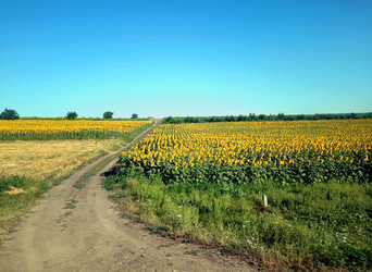 Similar image 22128476