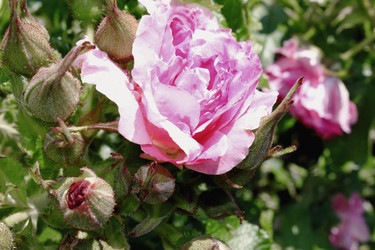 Similar image 22128479