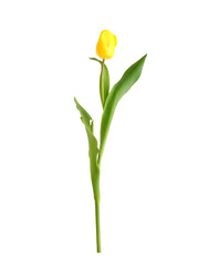 Similar image 22128827