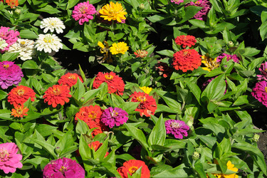 Similar image 22128828