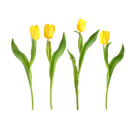 Similar image 22128829