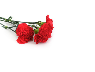 Similar image 22128830