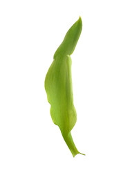 Similar image 22128831