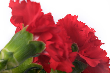 Similar image 22128832