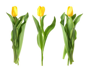 Similar image 22128833