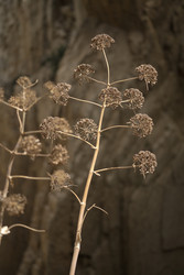 Similar image 22128834