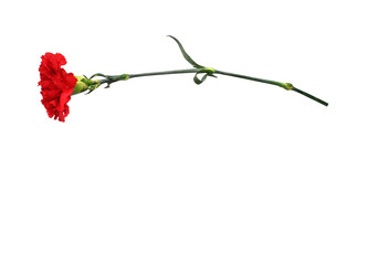 Similar image 22128836