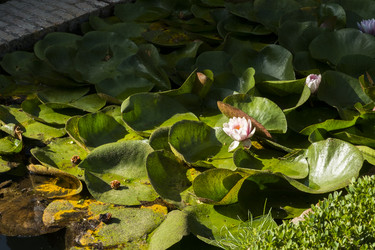 Similar image 22128837