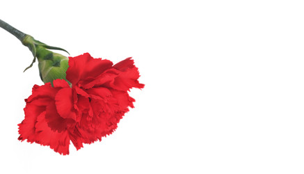 Similar image 22128838