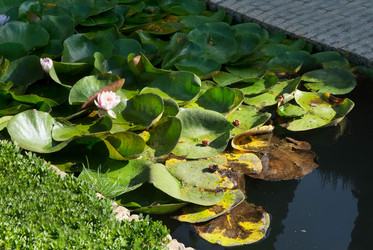 Similar image 22128839