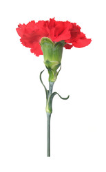 Similar image 22128840