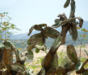 Similar image 22128842