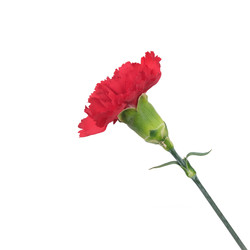 Similar image 22128843