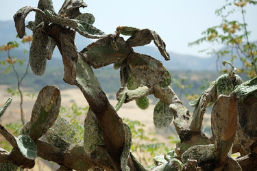 Similar image 22128844