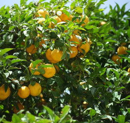 Similar image 22128845