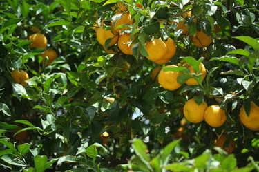 Similar image 22128846