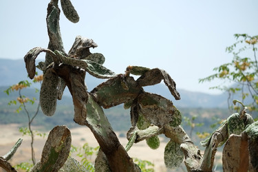 Similar image 22128847