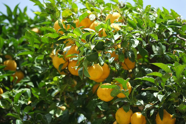 Similar image 22128849