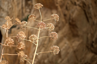 Similar image 22128852