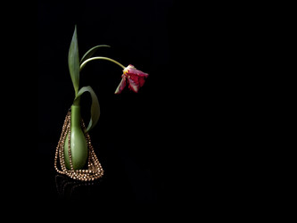 Similar image 22128854