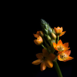 Similar image 22128856