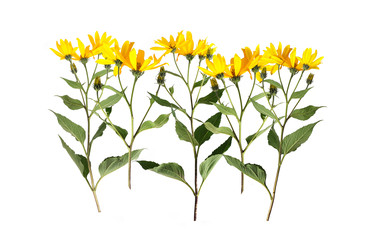 Similar image 22128857