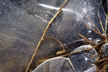 Similar image 22128490