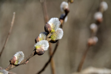 Similar image 22128491