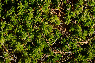 Similar image 22128497