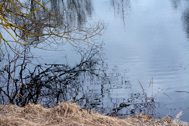 Similar image 22128498