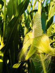 Similar image 22128502