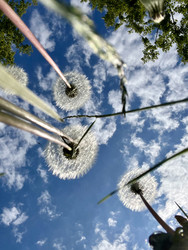 Similar image 22128503