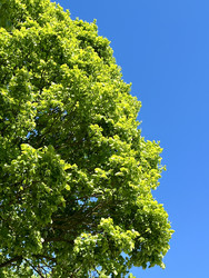 Similar image 22128504