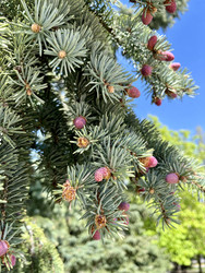 Similar image 22128505