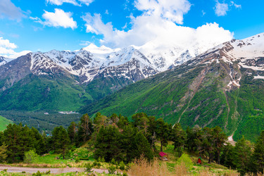 Similar image 22129137