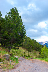 Similar image 22129139