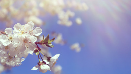 Similar image 22131576