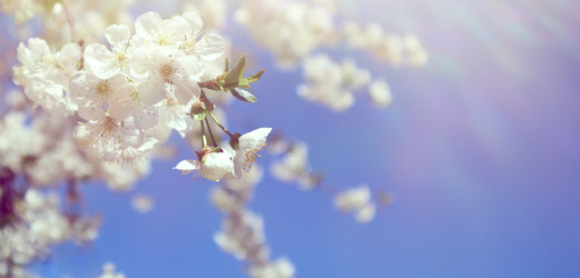 Similar image 22131577