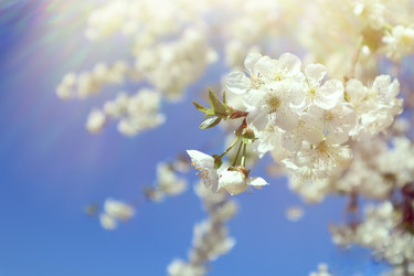 Similar image 22131580