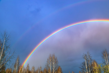 Similar image 22132095