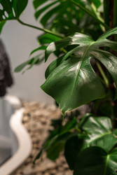 Similar image 22132055