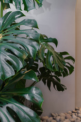 Similar image 22129309