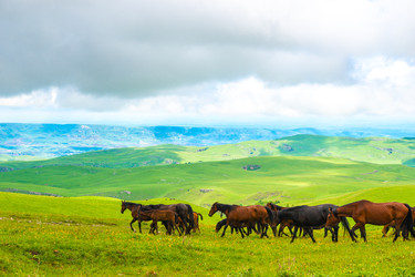 Similar image 22129178