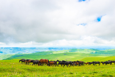 Similar image 22129180