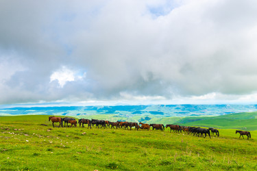 Similar image 22129184