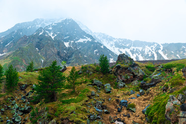 Similar image 22129199