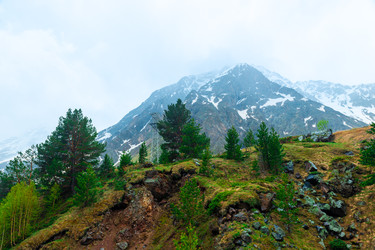 Similar image 22129201