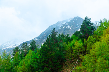 Similar image 22129203