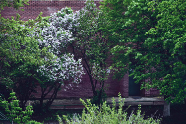 Similar image 22128621