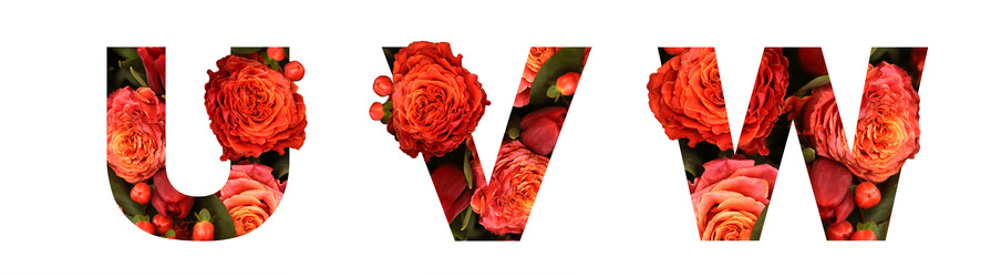 Similar image 22131587